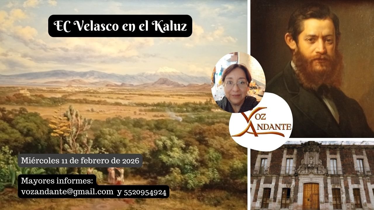 ec velascoenelkaluz 20260211